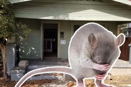 E quando si tratta di topi, a quanto pare in California un bungalow pieno di topi non è riuscito a scacciare gli acquirenti ...