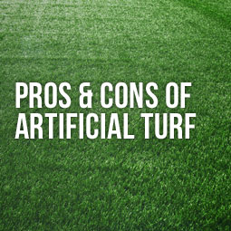 Open discussion - synthetic grass in the yard