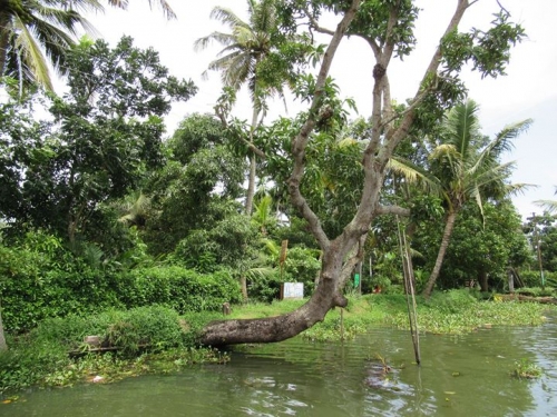 לפני שבוע יריב שאל אותי כאן שאלה "פשוטה": או בשפה פשוטה יותר עם כמה…
