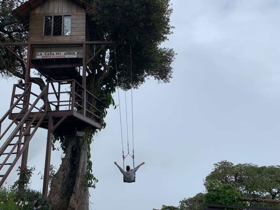 The most famous tree house in South America. While we're in Israel looking for attractions that will attract tourists ...