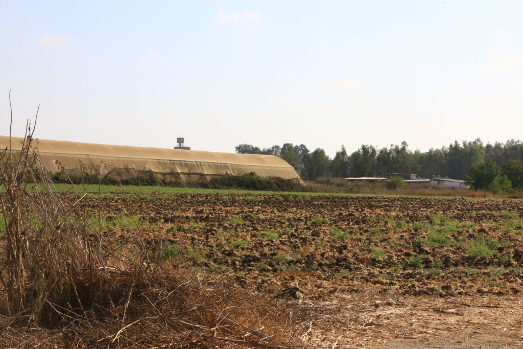 Exit of seats and kibbutzim in the return transactions. So who said there was no right of restitution?