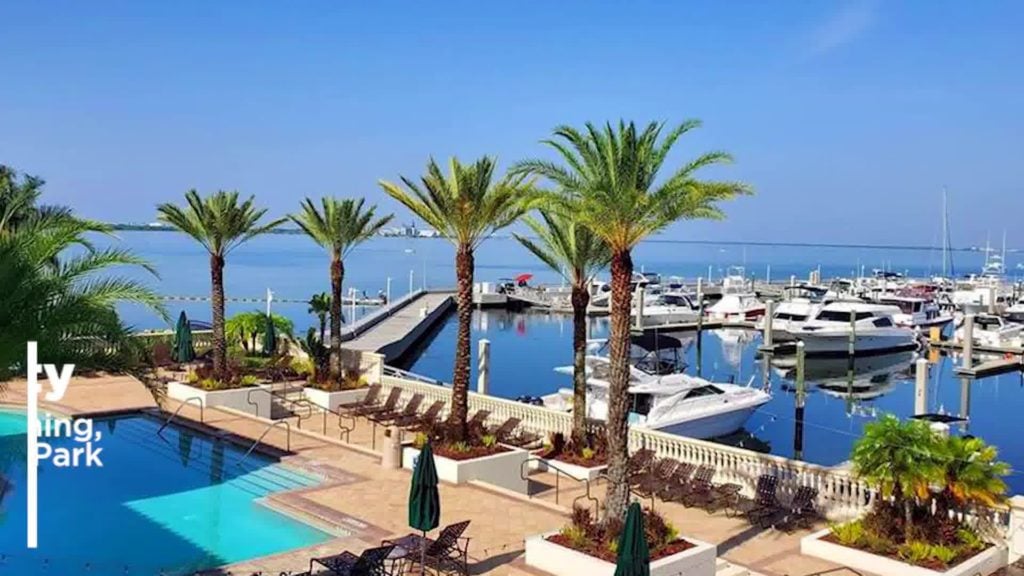 צפו 6148 Yeats Manor Drive Tampa, FL 33616