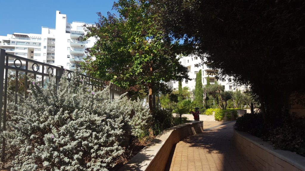 ‫‫#קבוצת_רכישה_כן_או_לא
שלב שני1. מימוש האופציה - השלמת קניית הקרקעהכסף מועבר ל...