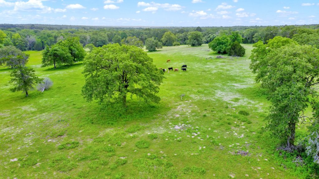 Elgin Hunting & Cattle Ranch 162 +/- acres in a quiet area on Little Sandy Creek ...