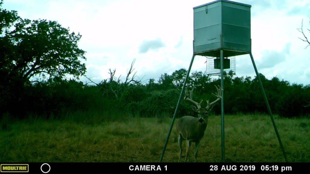 חוות סאנסטיק קריק | קרפנטר LEDYARD