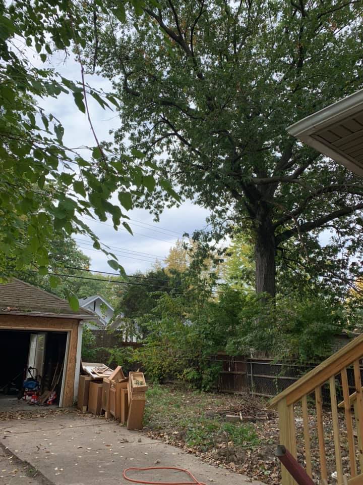 I have big, dangerous tree branches hanging on my property on both sides ...