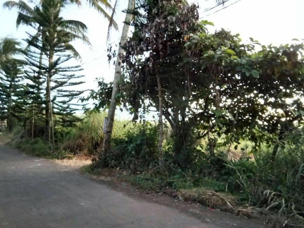 Land for sale in tagaytay. Lot area 5000 sqm. 5 sqm per sqm. Barangai along ...