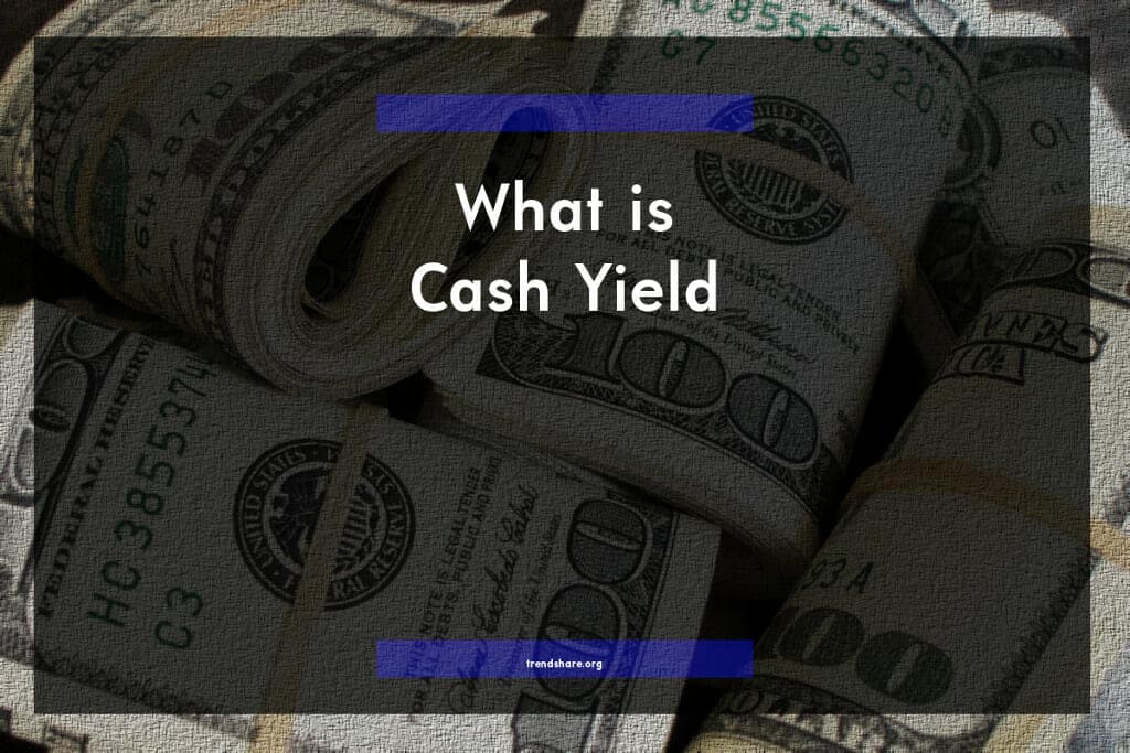 Cash-on-Cash Yield ...