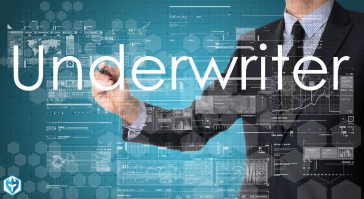 תפקיד המשכתב בהלוואת הארד מאני – Underwriter...