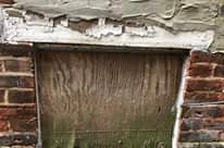 Image may contain: plant and outdoor